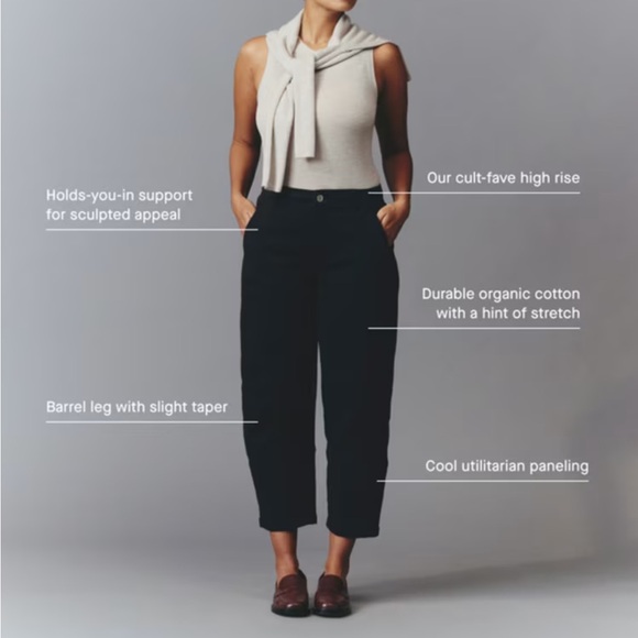 EVERLANE the utility barrel pant in rosewood size 4 - Picture 4 of 5